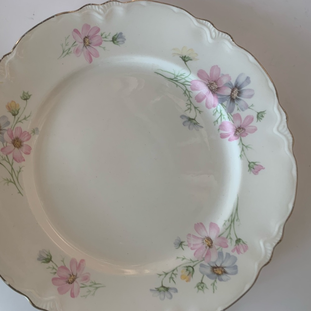Vintage Homer Laughlin Pink Purple and Yellow Daisy Dinner Plates 10 inches